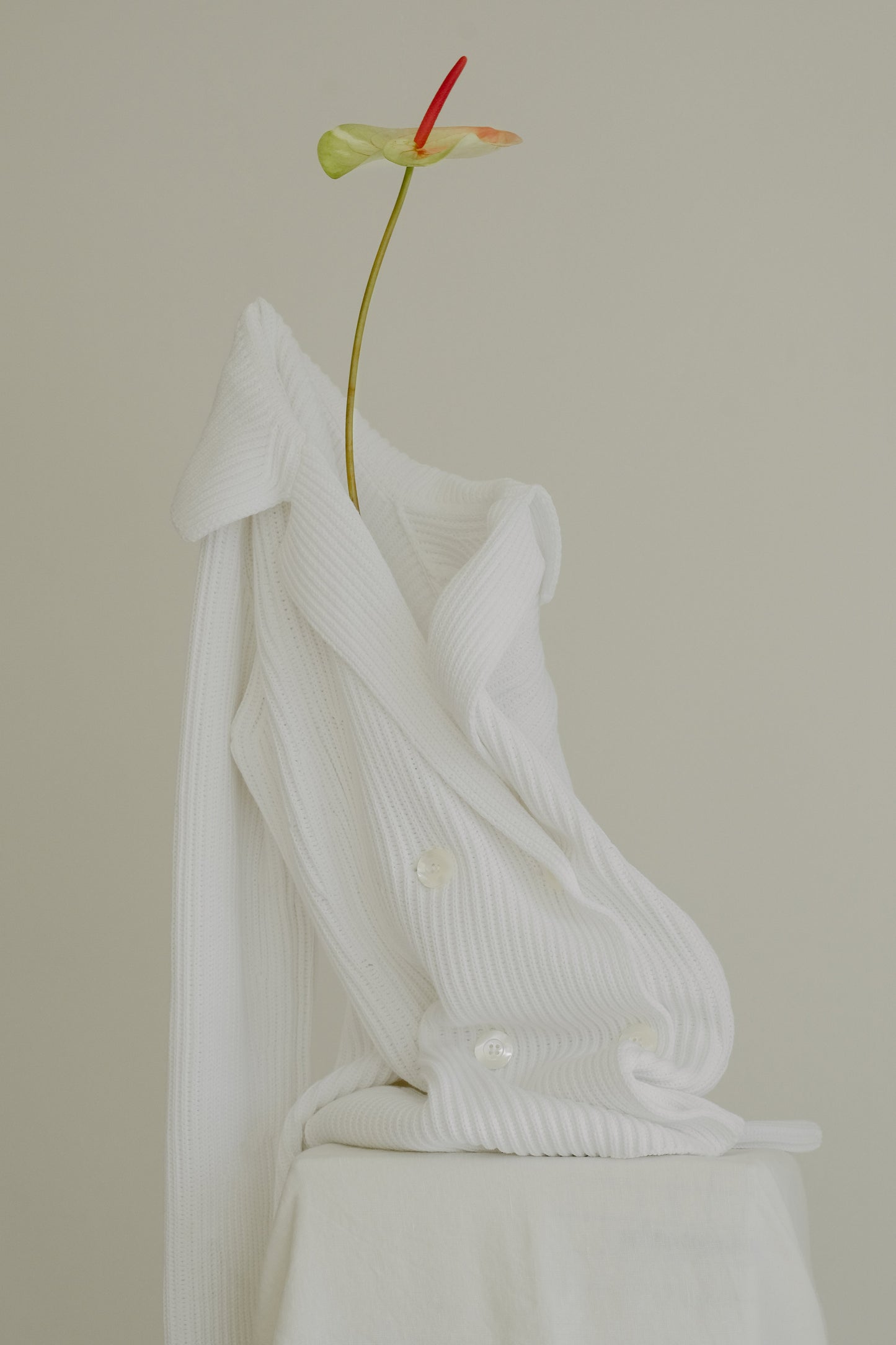 Fine Cotton Double Breasted Jacket