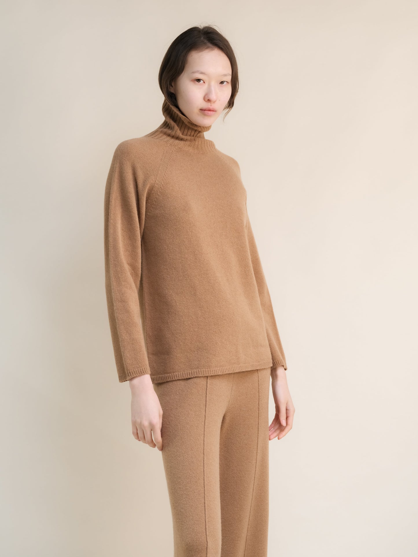 Cashmere Mix Turtleneck Sweater (3D-Knit)
