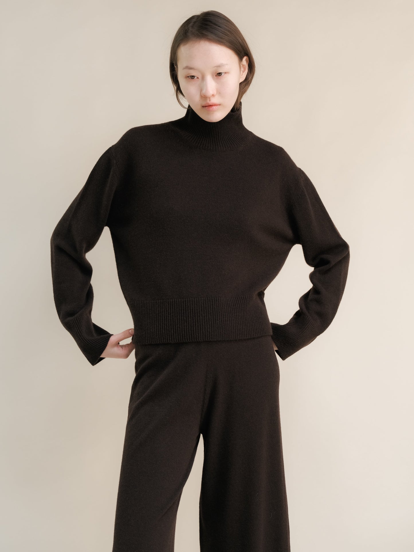 Cashmere Mix Turtleneck Sweater