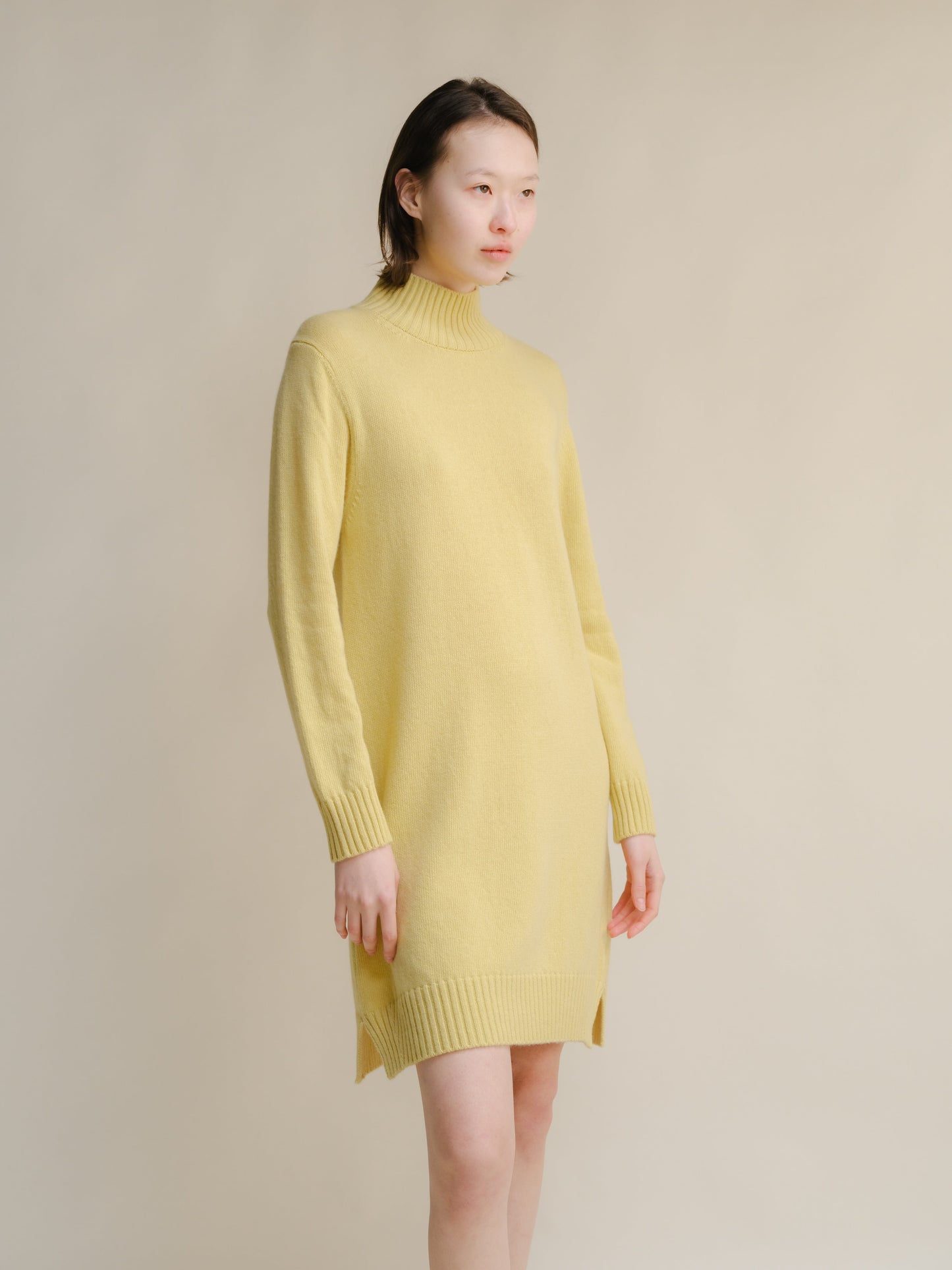 Cashmere Mix High Neck Midi Dress