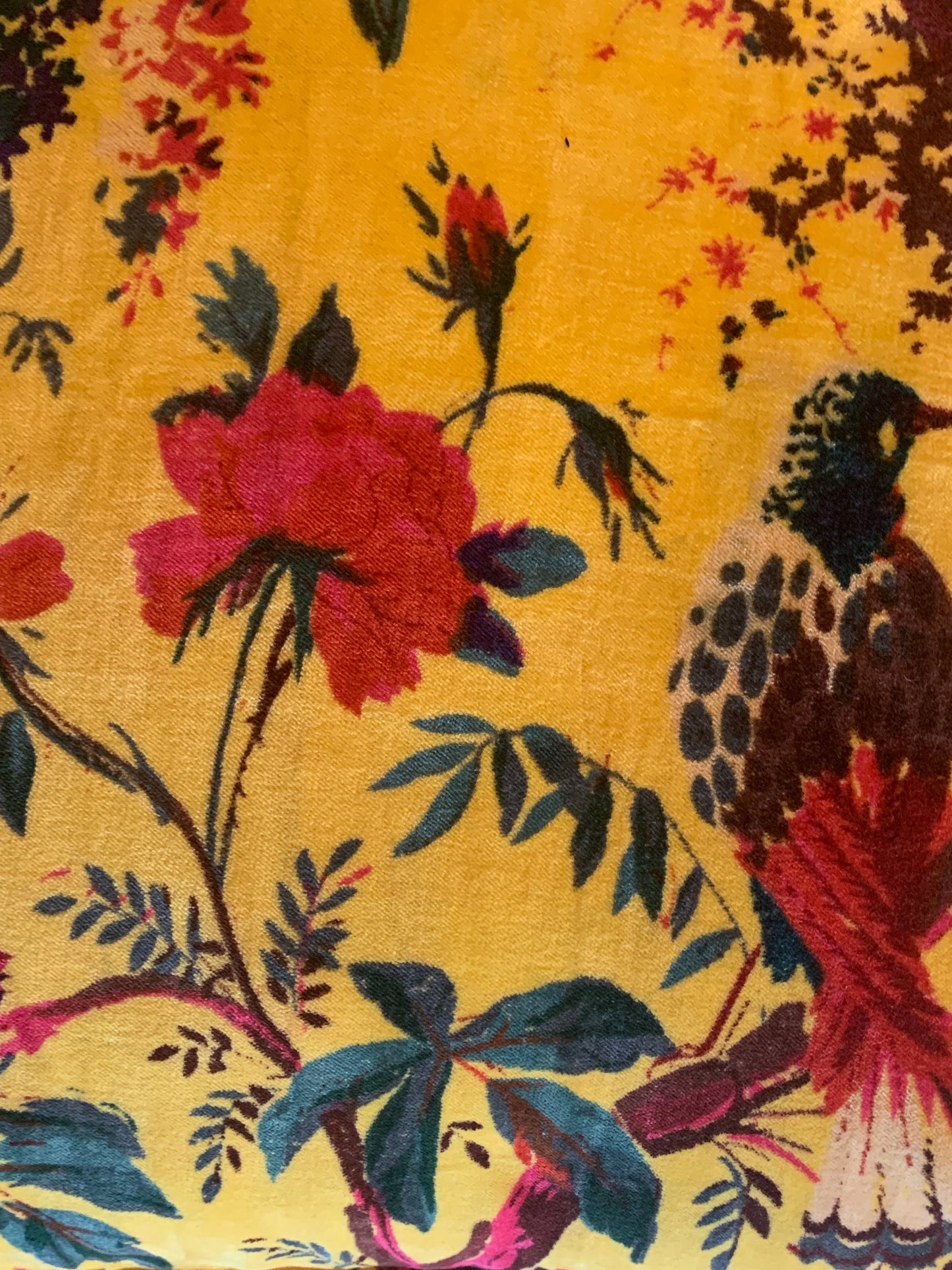 Federa per Cuscino in Velluto ✨ Exotic Yellow